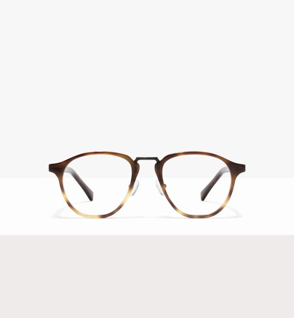 Offline Tort--front_image