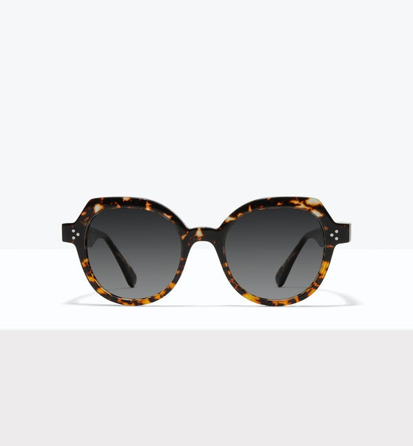 Sway Sunglasses BonLook Monarch 4 yes