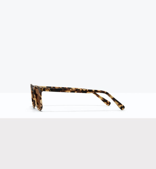 Trooper Sunglasses BonLook   