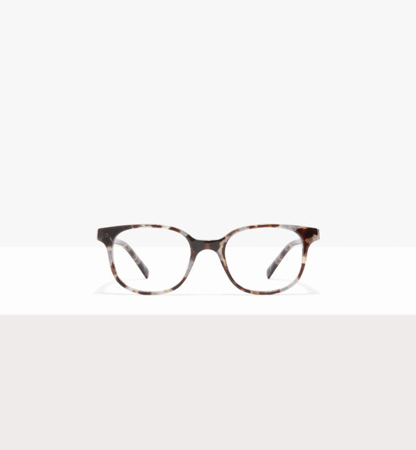 Blue Tort--front_image